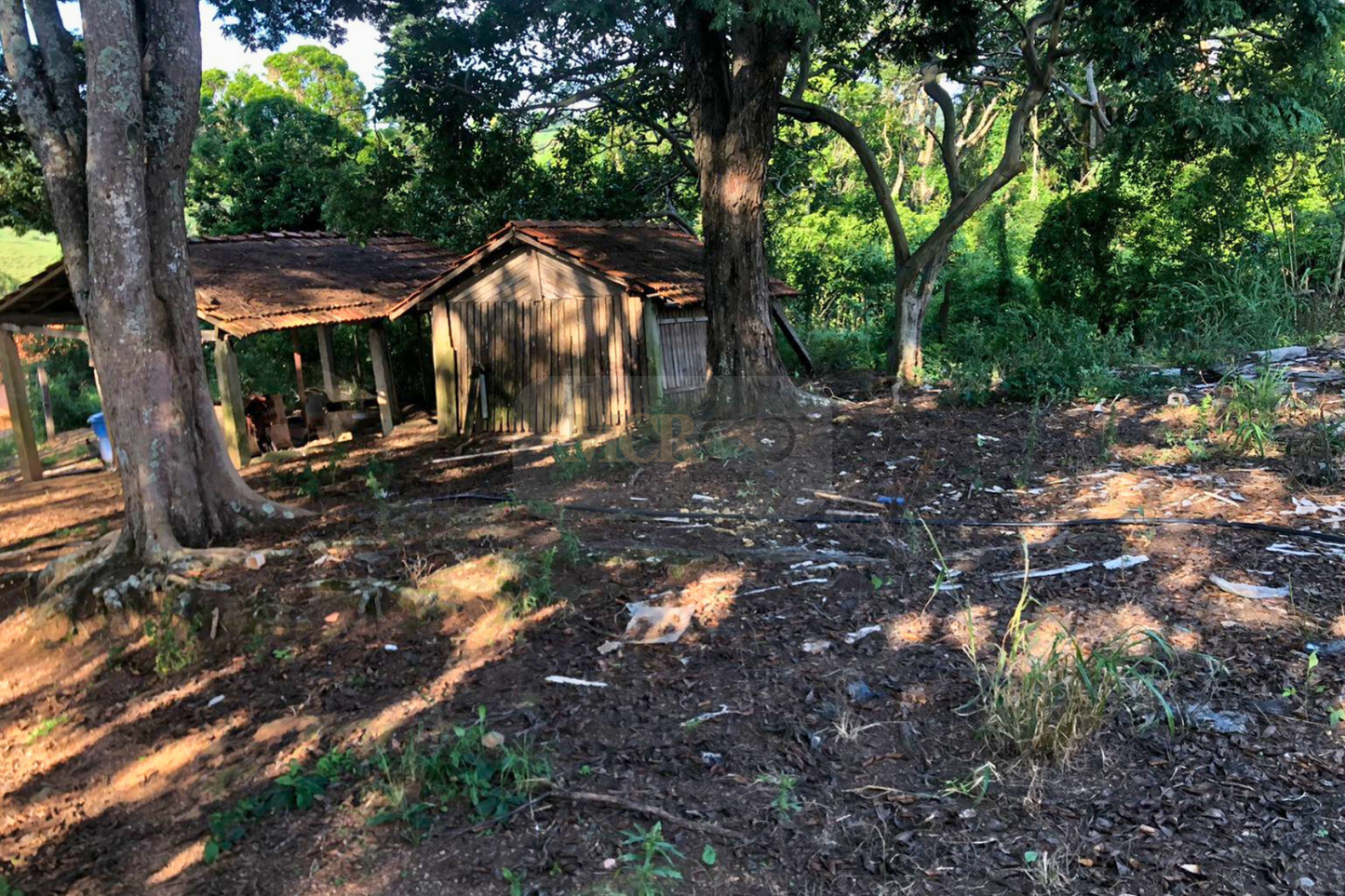 Fazenda 14,5 Alqueires - Itatiba