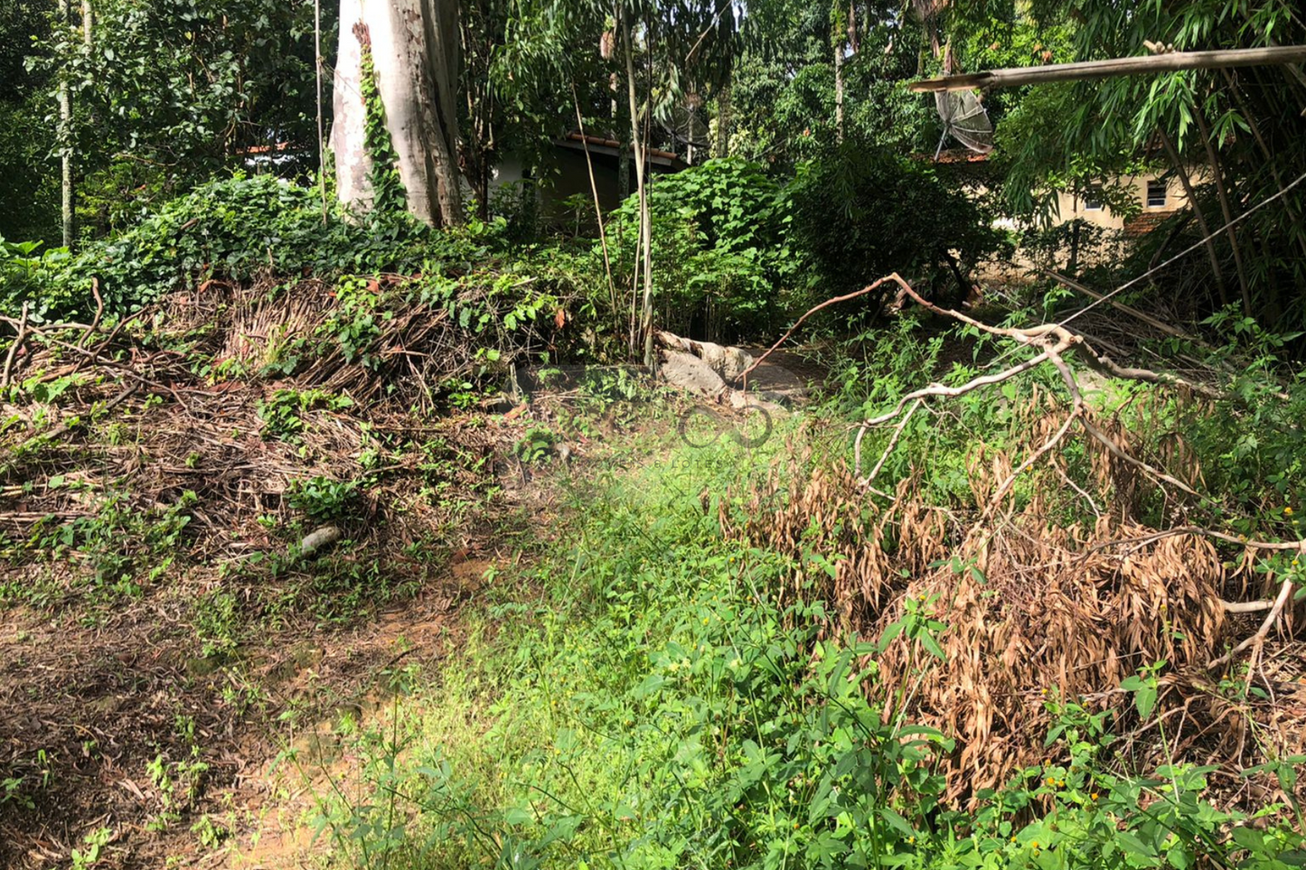 Chácara de 5000m²  - Vinhedo