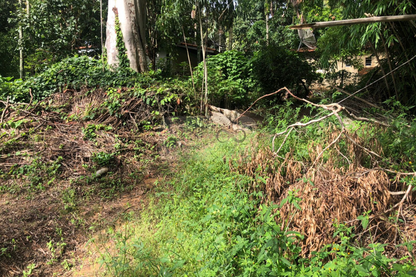 Chácara de 5000m²  - Vinhedo