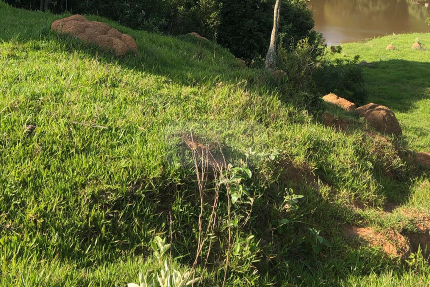 Fazenda 14,5 Alqueires - Itatiba