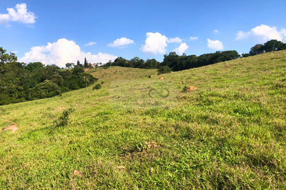 Fazenda 14,5 Alqueires - Itatiba