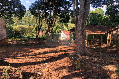 Fazenda 14,5 Alqueires - Itatiba