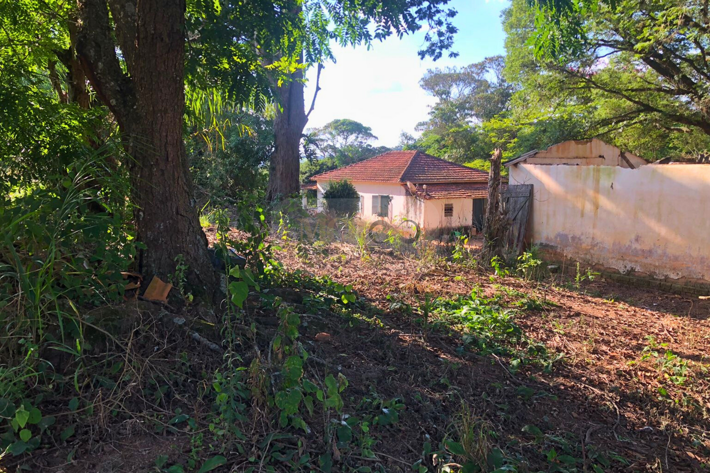 Fazenda 14,5 Alqueires - Itatiba