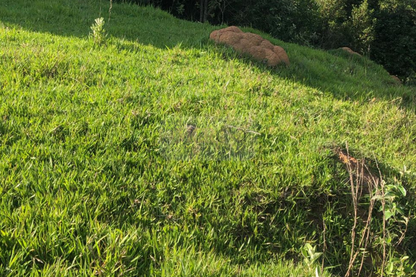 Fazenda 14,5 Alqueires - Itatiba