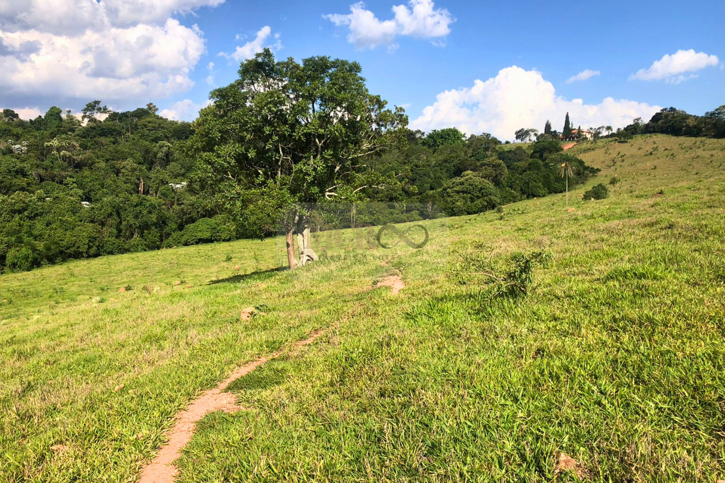 Fazenda 14,5 Alqueires - Itatiba