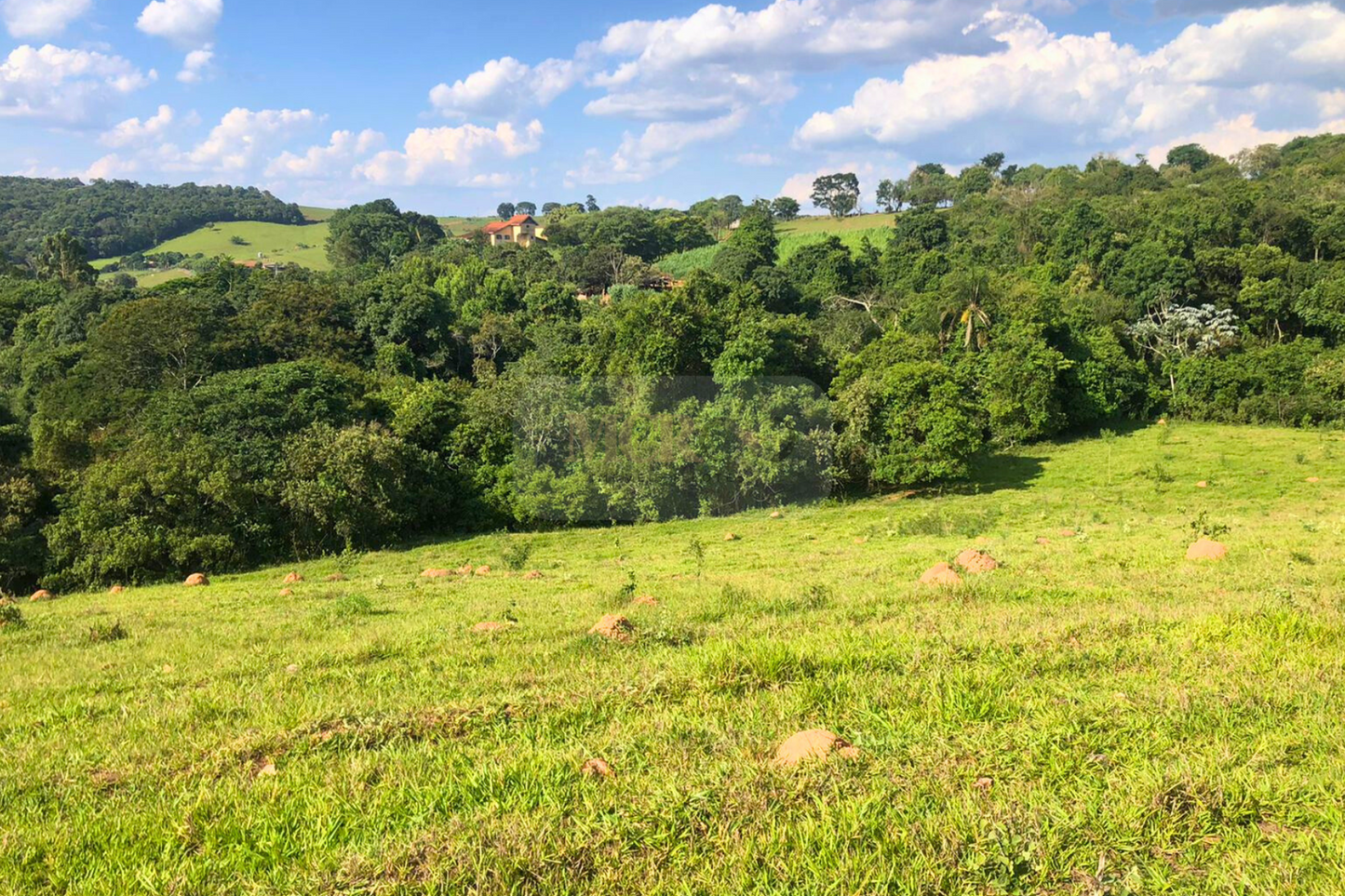 Fazenda 14,5 Alqueires - Itatiba