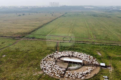 Fazenda com infraestrutura completa para criação de gado - São José dos Campos