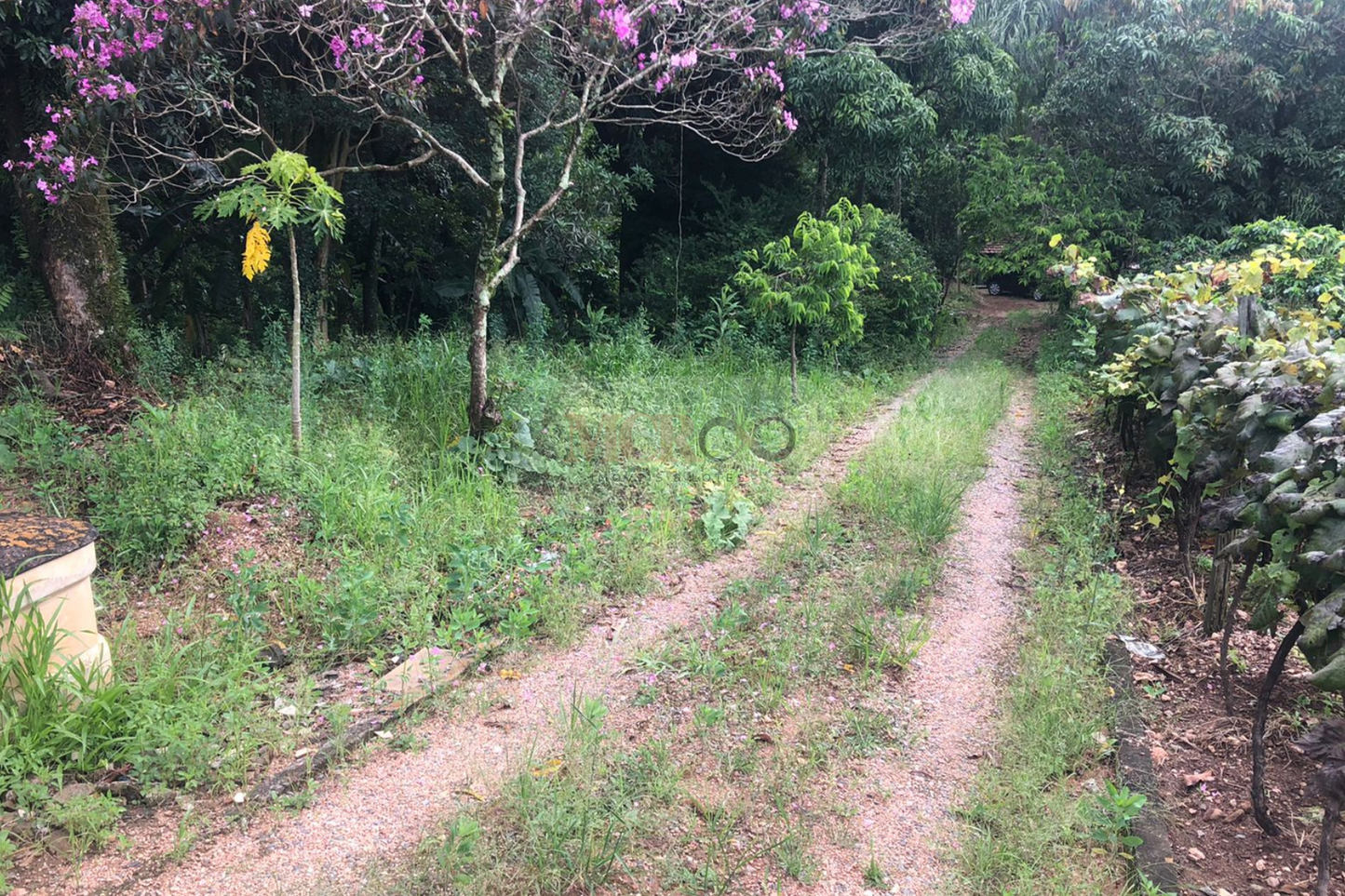 Chácara de 5000m²  - Vinhedo