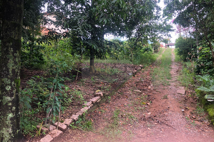 Chácara de 5000m²  - Vinhedo