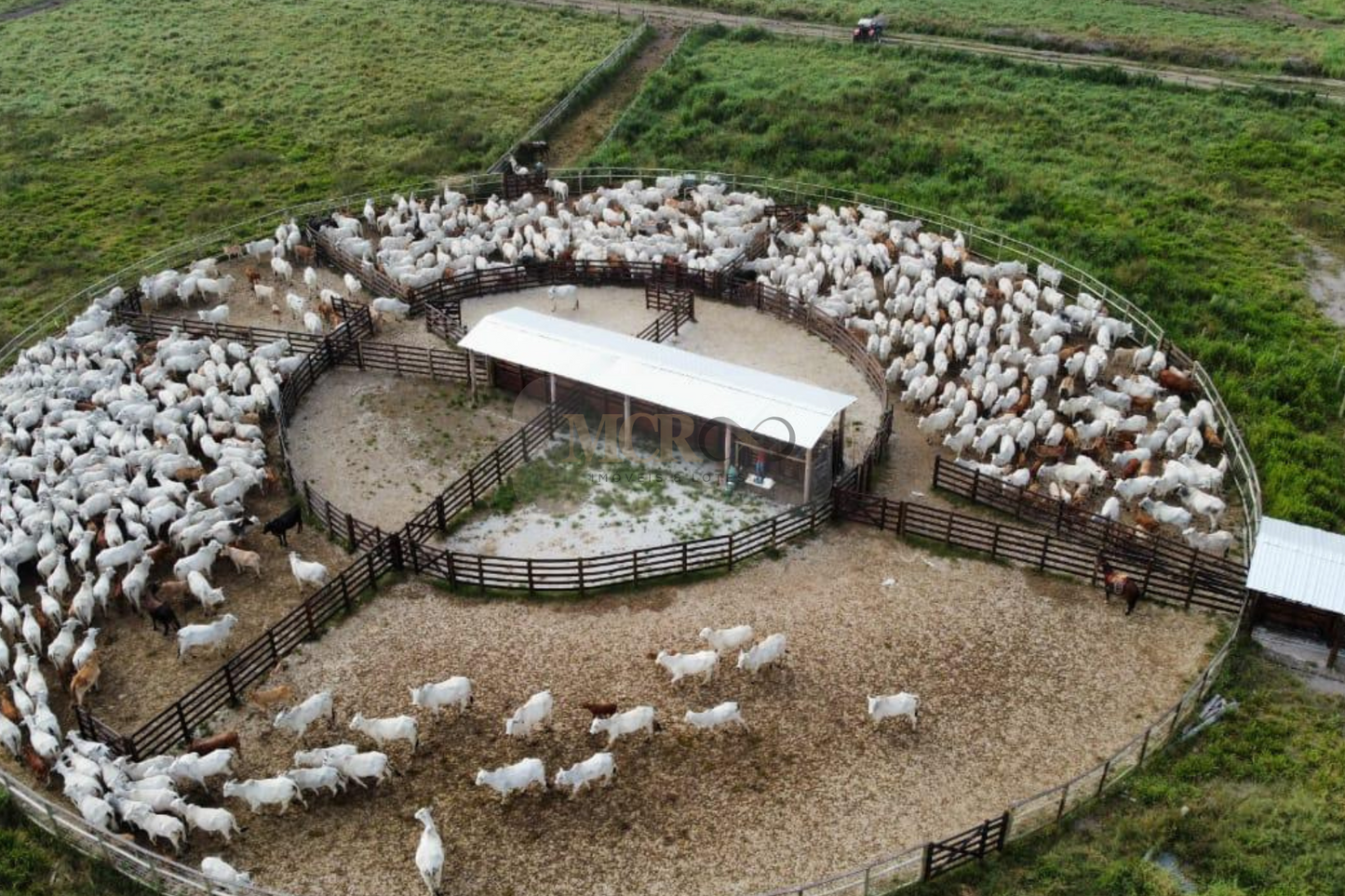 Fazenda com infraestrutura completa para criação de gado - São José dos Campos