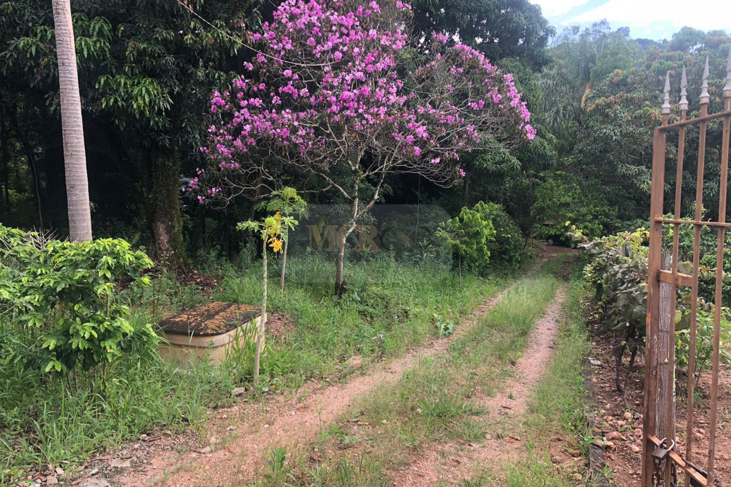 Chácara de 5000m²  - Vinhedo
