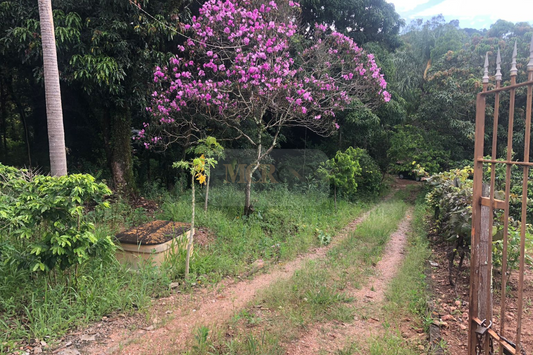 Chácara de 5000m²  - Vinhedo