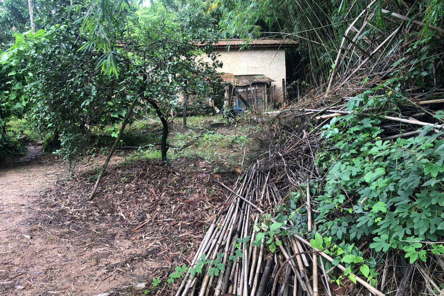 Chácara de 5000m²  - Vinhedo