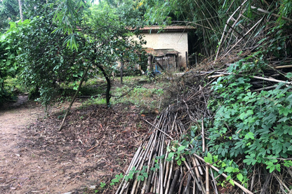 Chácara de 5000m²  - Vinhedo