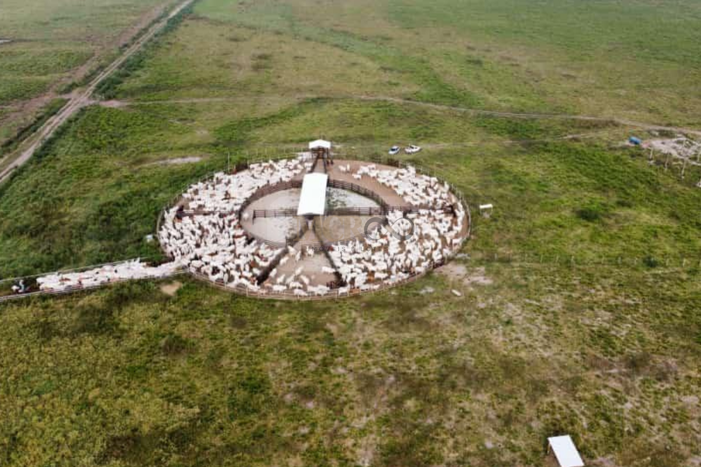 Fazenda com infraestrutura completa para criação de gado - São José dos Campos