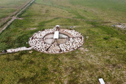 Fazenda com infraestrutura completa para criação de gado - São José dos Campos