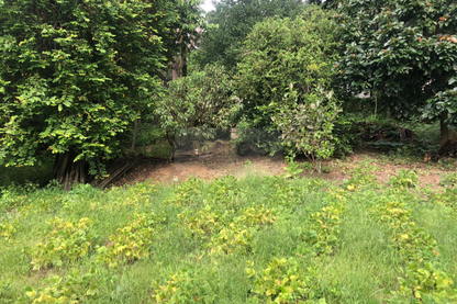 Chácara de 5000m²  - Vinhedo