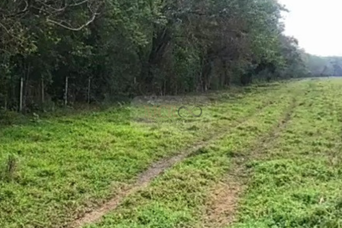 Fazenda em Jacareí para criação de gado!