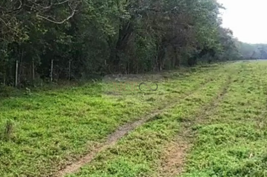 Fazenda em Jacareí para criação de gado!