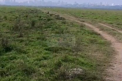 Fazenda em Jacareí para criação de gado!