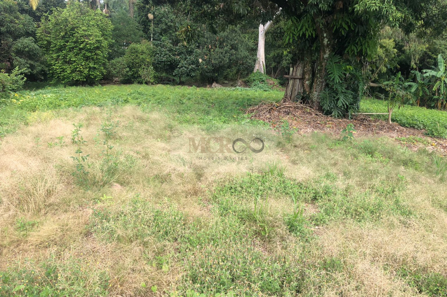 Chácara de 5000m²  - Vinhedo