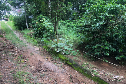 Chácara de 5000m²  - Vinhedo