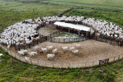 Fazenda com infraestrutura completa para criação de gado - São José dos Campos