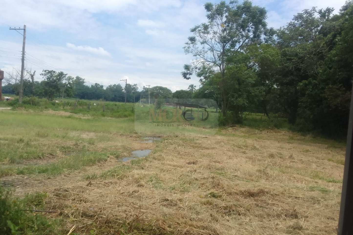 Fazenda em Jacareí para criação de gado!