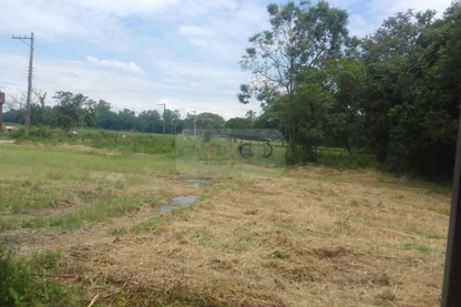 Fazenda em Jacareí para criação de gado!