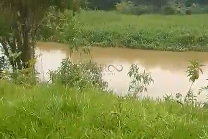 Fazenda em Jacareí para criação de gado!