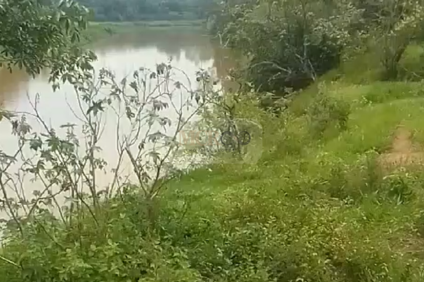 Fazenda em Jacareí para criação de gado!