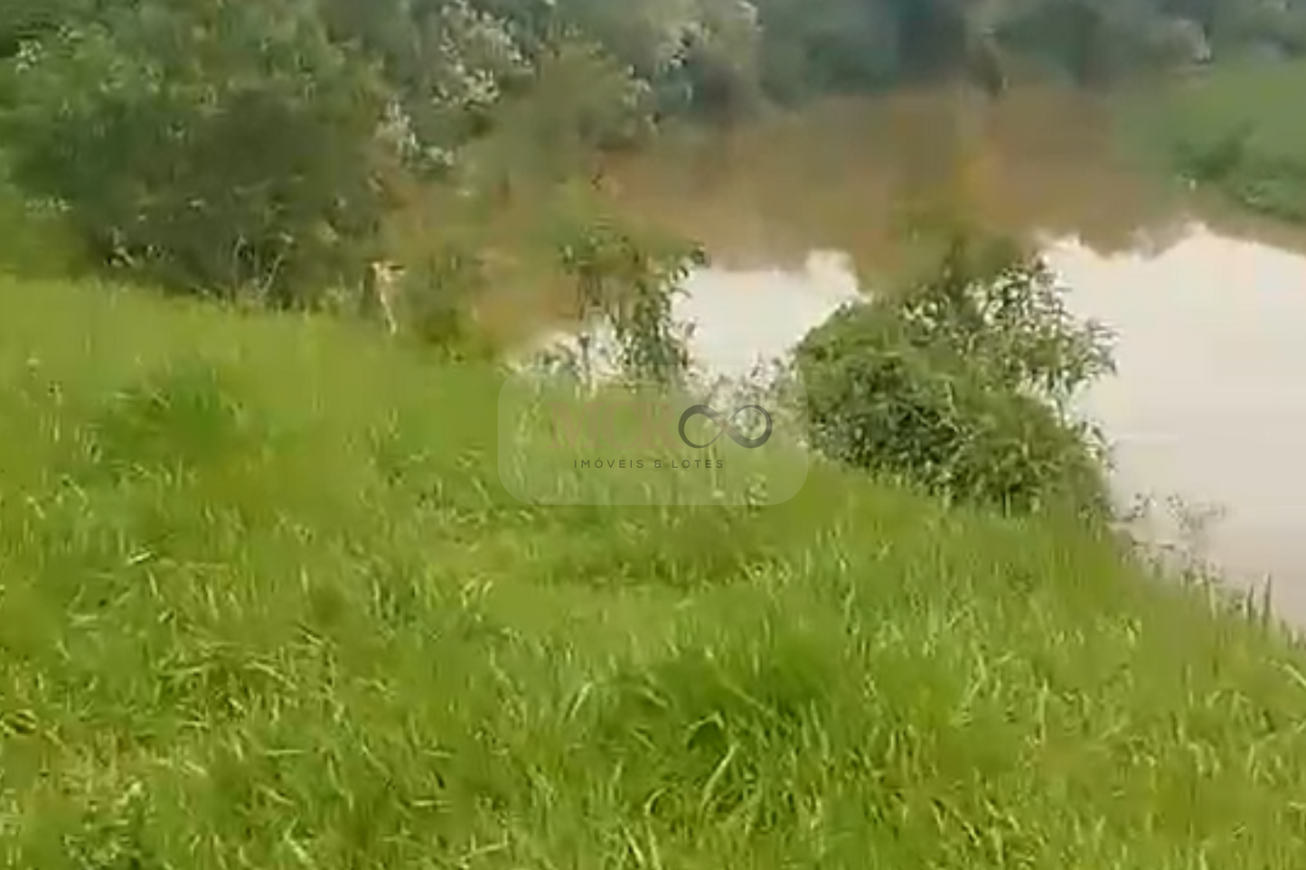 Fazenda em Jacareí para criação de gado!