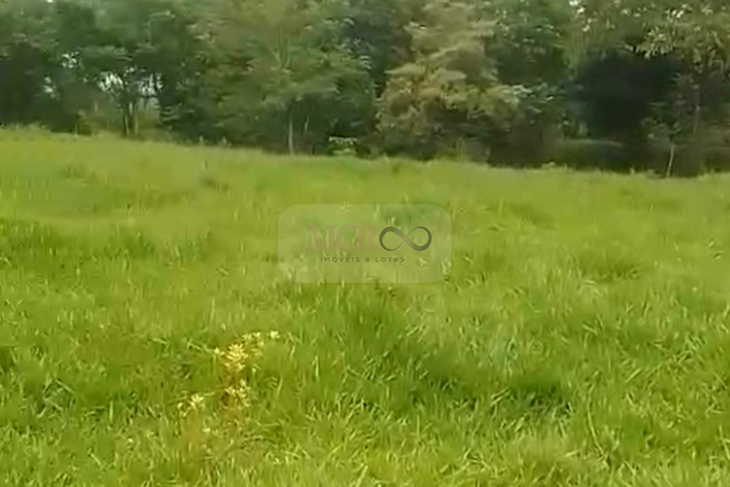 Fazenda em Jacareí para criação de gado!