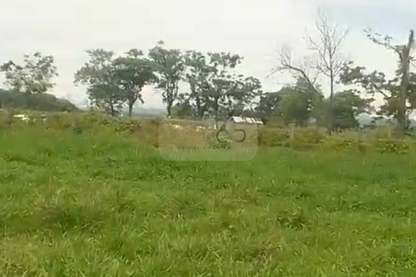 Fazenda em Jacareí para criação de gado!