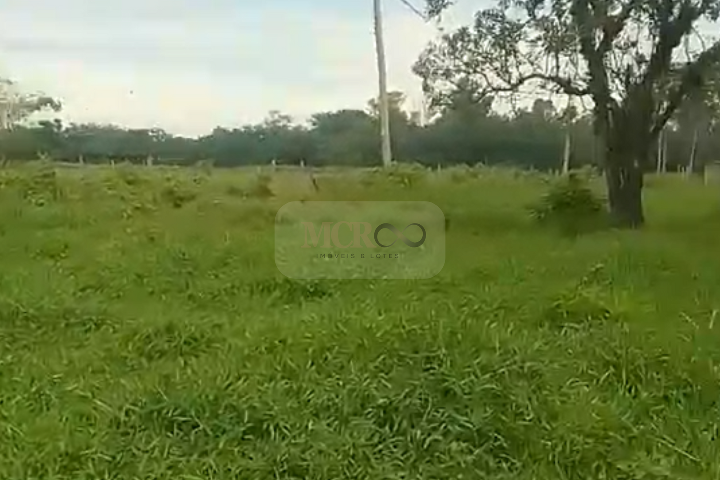 Fazenda em Jacareí para criação de gado!