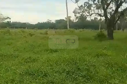 Fazenda em Jacareí para criação de gado!