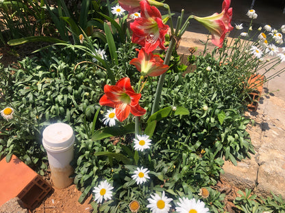 Chácara Vale Verde - Valinhos