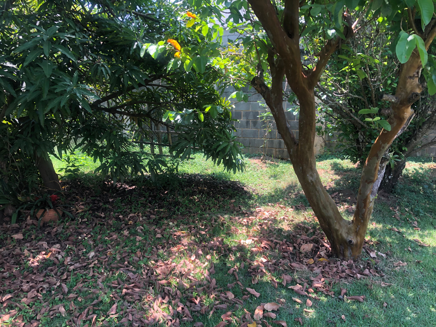 Chácara Vale Verde - Valinhos