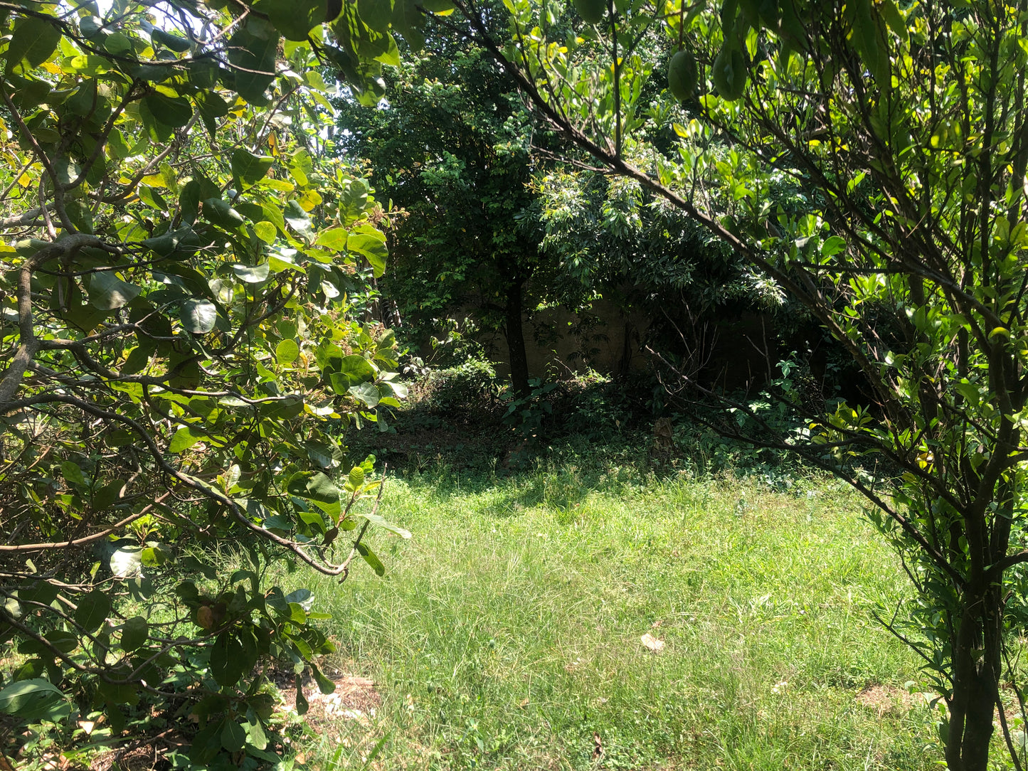 Chácara Vale Verde - Valinhos