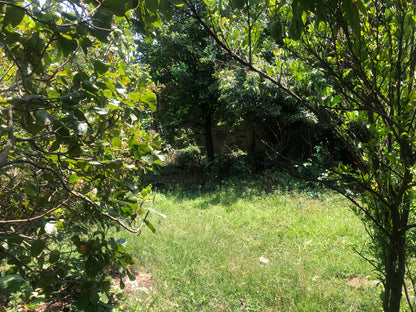 Chácara Vale Verde - Valinhos