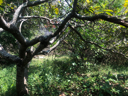 Chácara Vale Verde - Valinhos