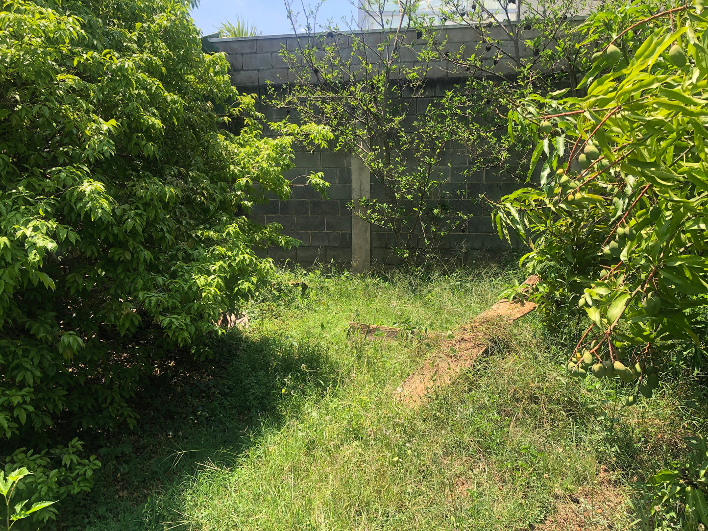 Chácara Vale Verde - Valinhos