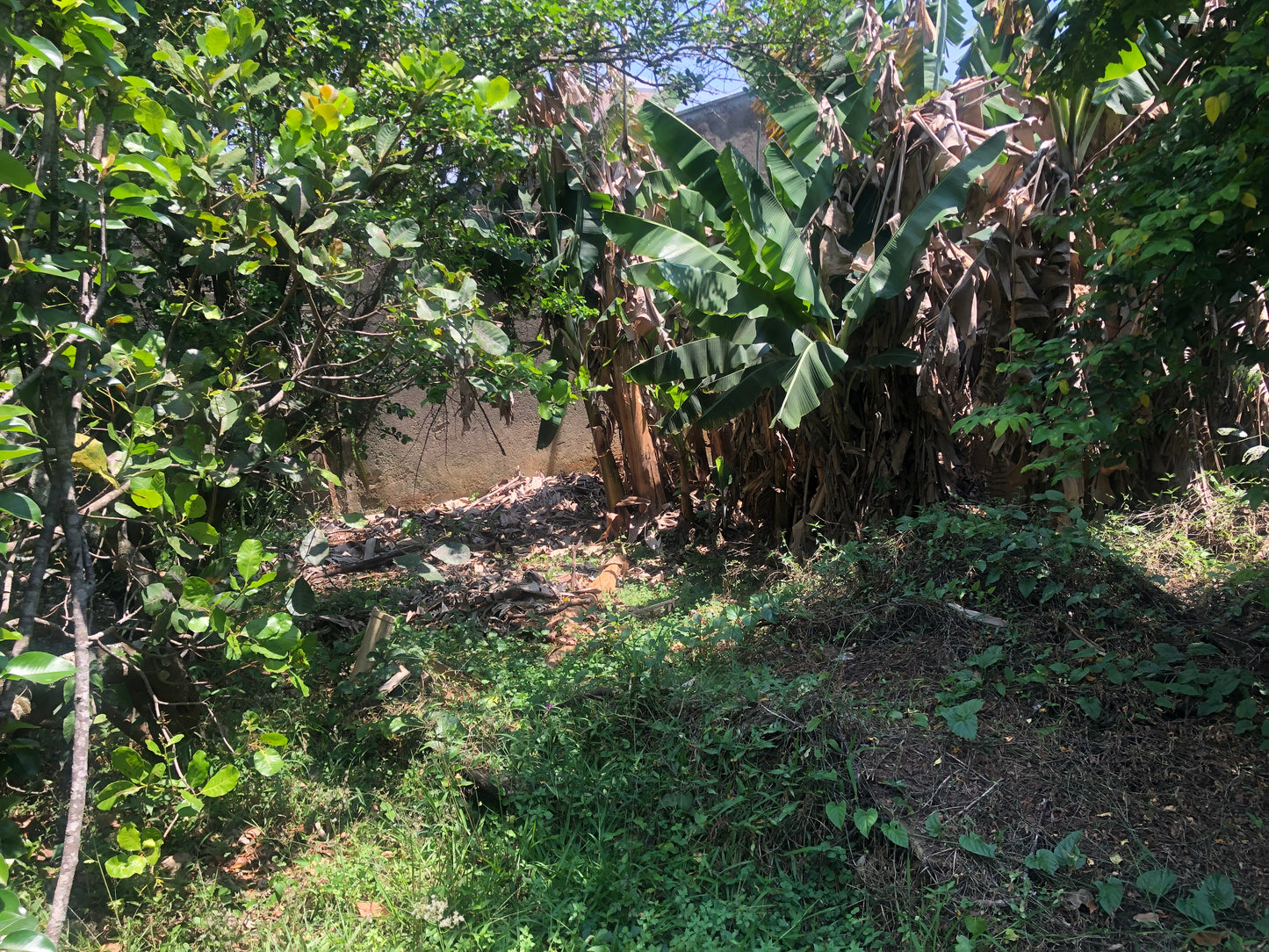 Chácara Vale Verde - Valinhos