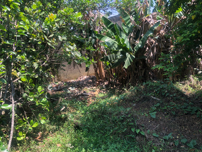 Chácara Vale Verde - Valinhos