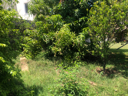 Chácara Vale Verde - Valinhos