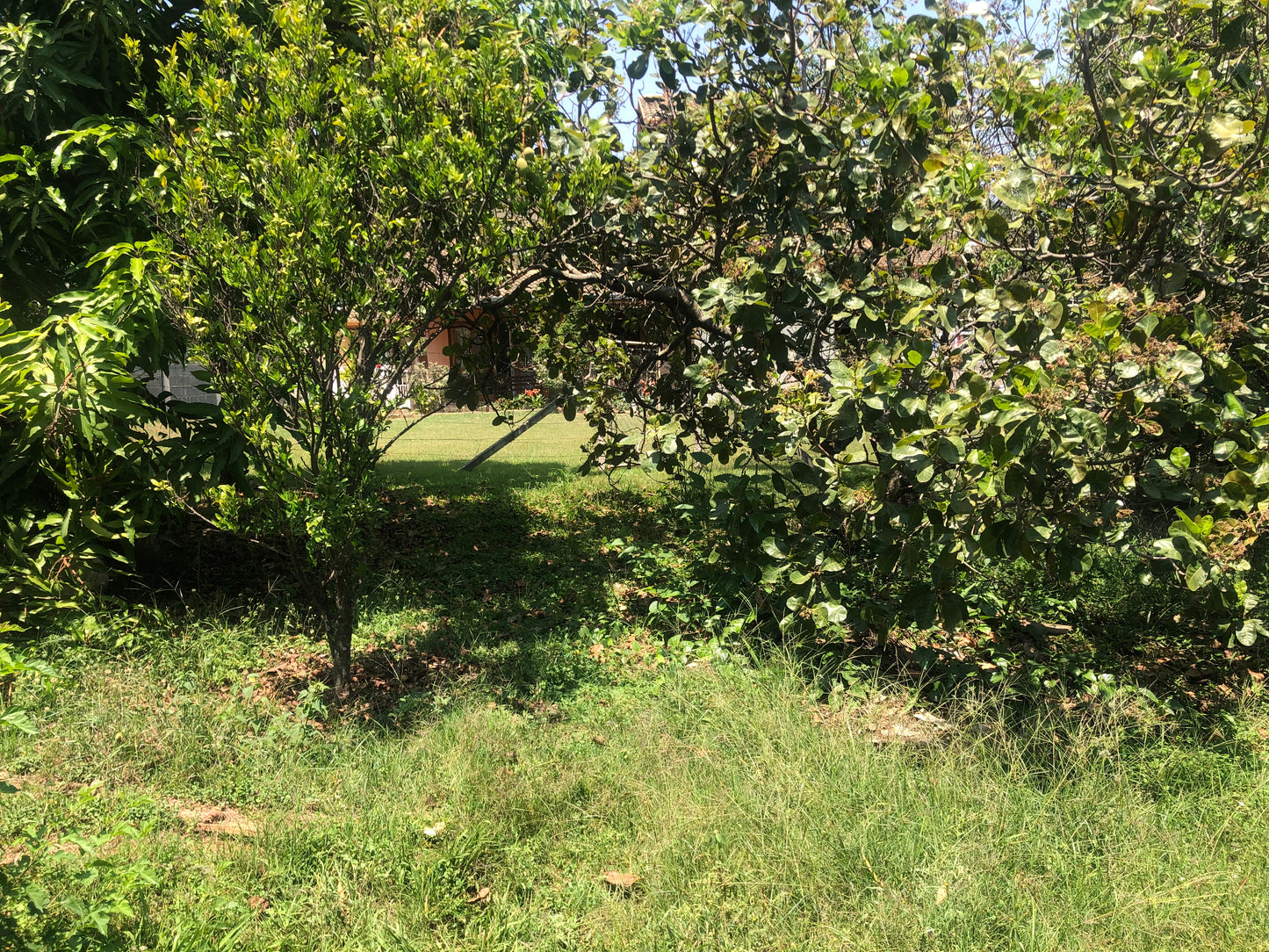 Chácara Vale Verde - Valinhos