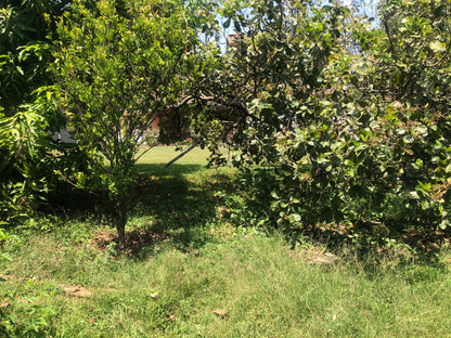 Chácara Vale Verde - Valinhos