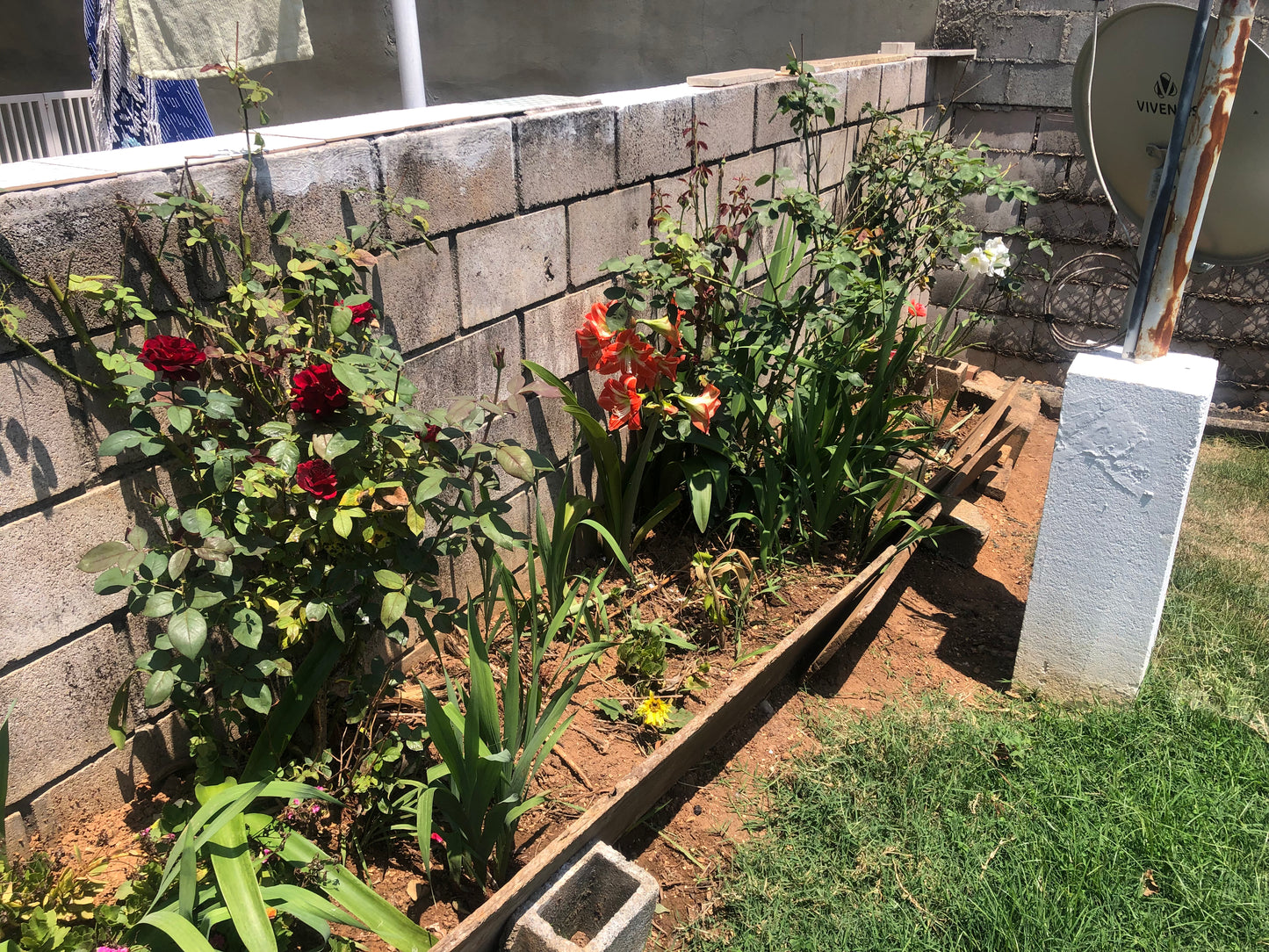 Chácara Vale Verde - Valinhos