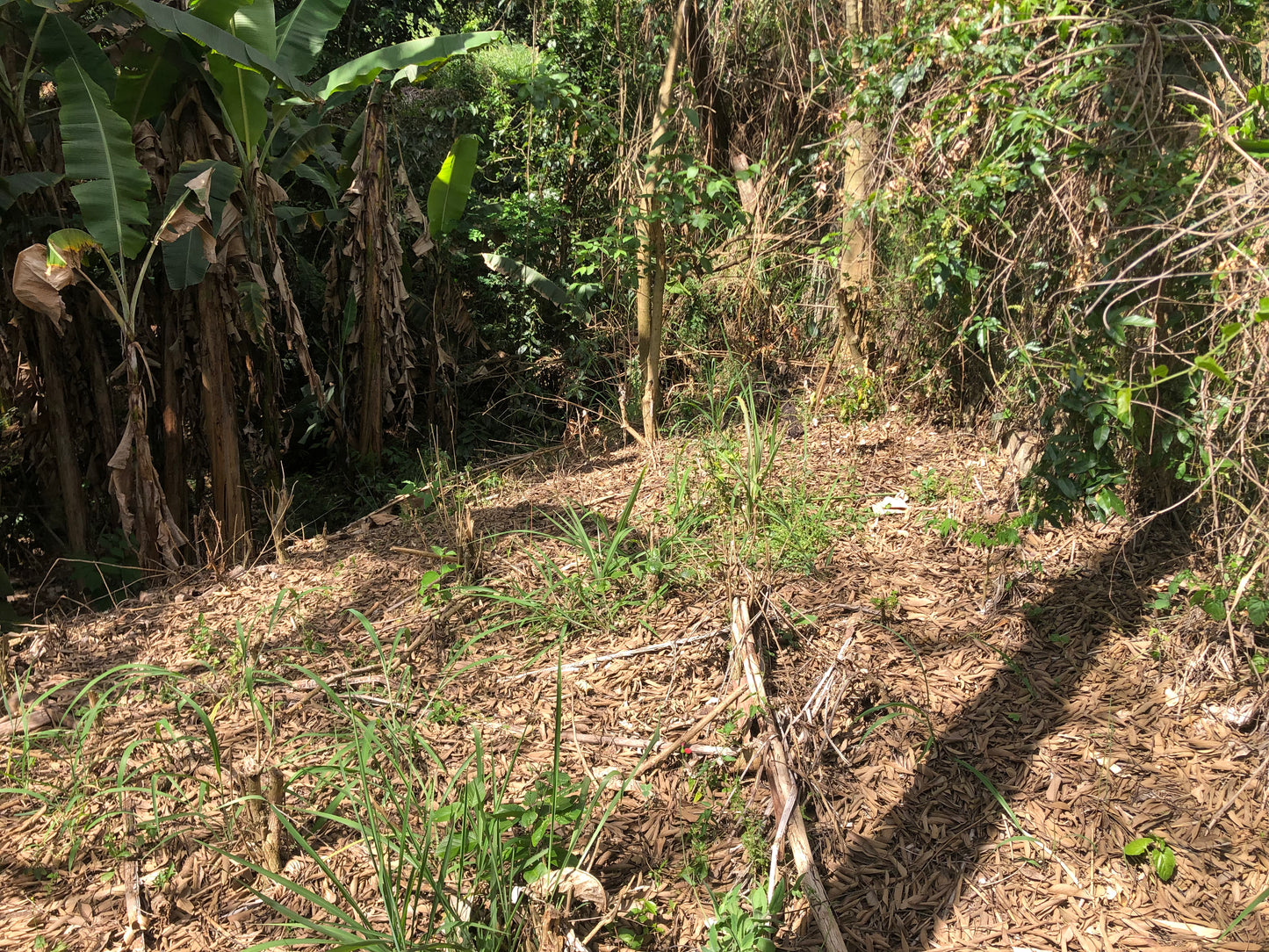 Linhda Chácara no Vale Verde com lago