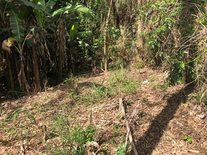 Linhda Chácara no Vale Verde com lago